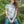 Load image into Gallery viewer, Women's PROTECT Eco-friendly Recycled/Organic Cotton T-shirt
